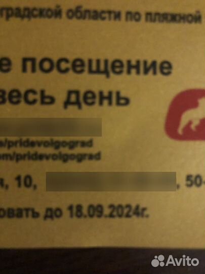 Сертификат в баню-1 раз