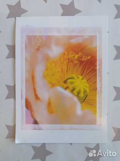 Открытки IKEA Kort, 4 шт