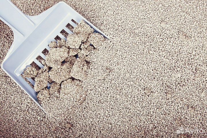 Наполнитель для кошек