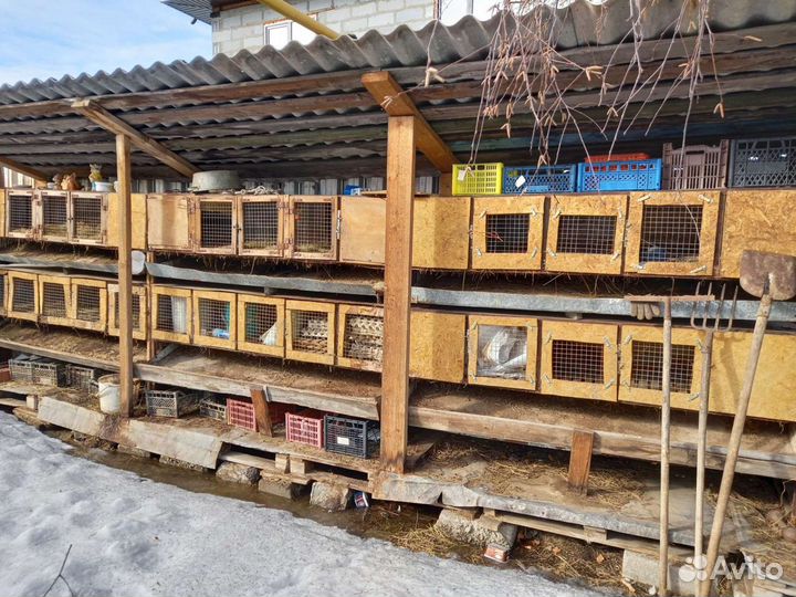 Клетка для кролика,кур