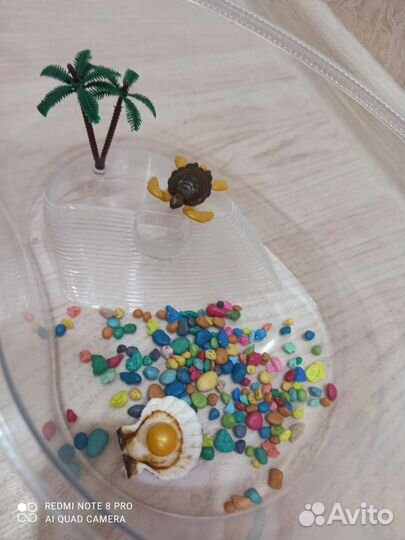 Аквариум-переноска для черепахи,наполнение аквар