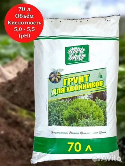 Грунт для Хвойников