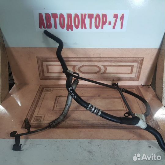 Шланги гура renault clio