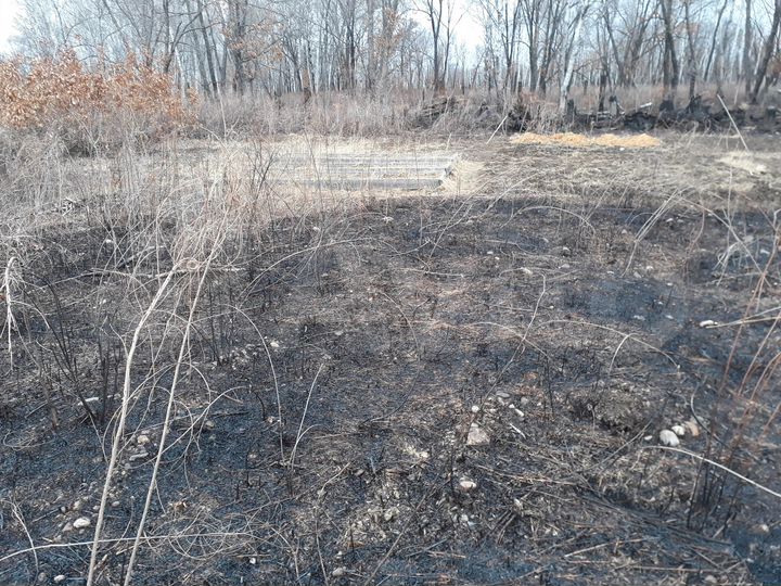 Участок 15 сот. (ИЖС)