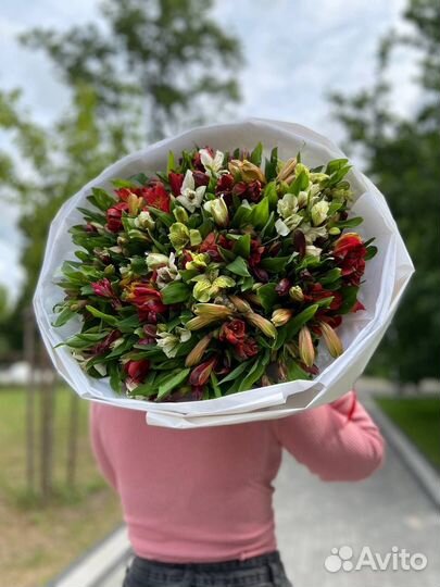 Альстромерия