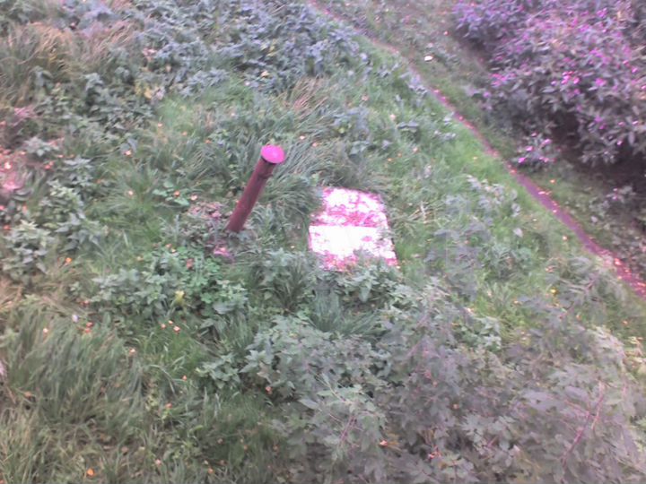 Машиноместо