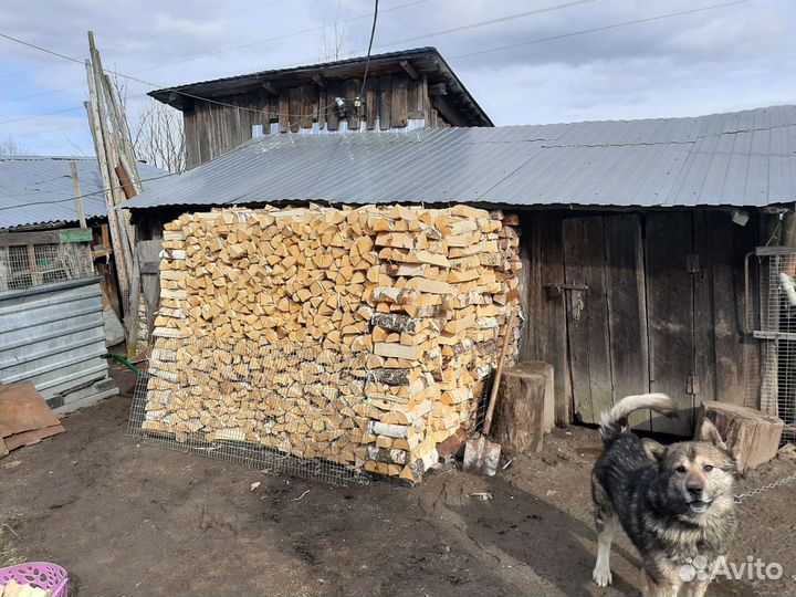 Дрова берёзовые