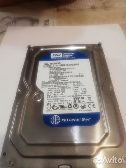 Жесткий диск Western Digital WD Blue 250 гб WD2500