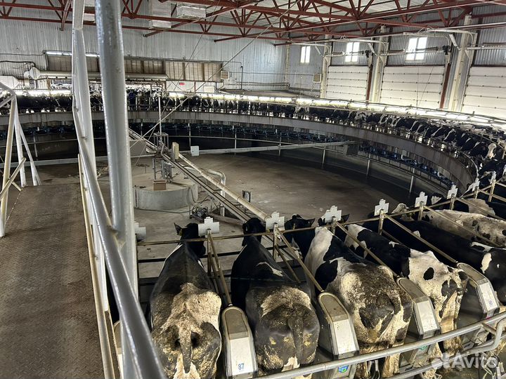 Грузчики разнорабочие