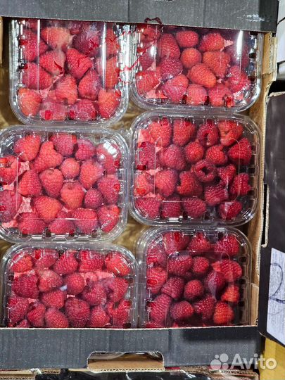 Малина свежая