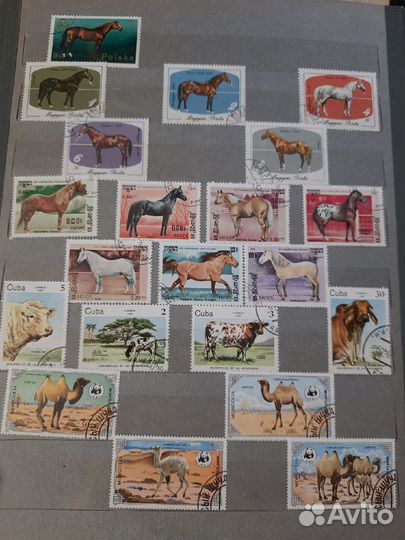 Альбом с марками