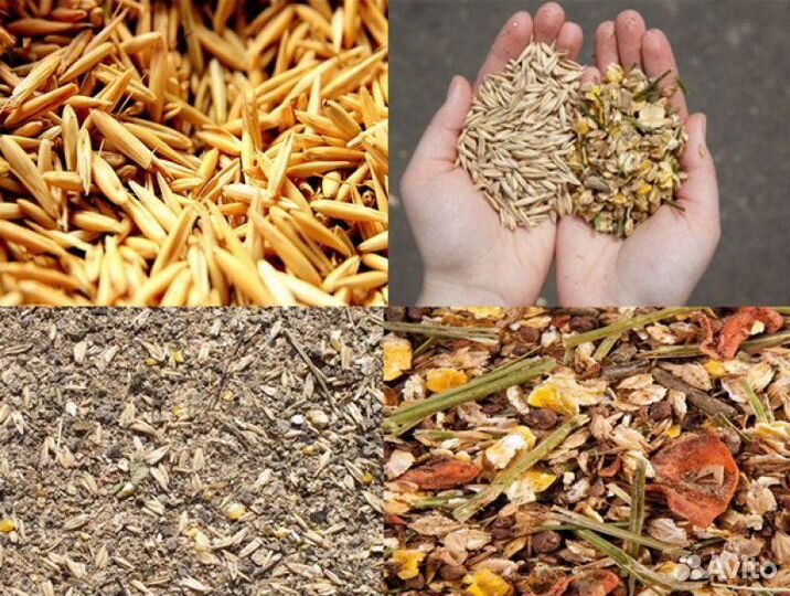 Жмых/ Жом/ Отруби/ Крупы/ Корма