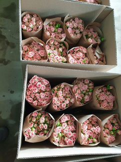 101роза букеты цветы опт 51,71,251роза доставка