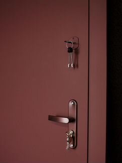 Дверь входная металлическая под ваш размер. Завод