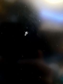 Игровой ноутбук msi gp72m 7rex Leopard pro