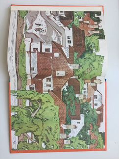 Детская книга «Дикий конёк Рин»