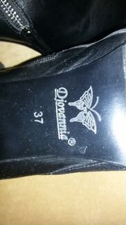 Сапоги ботфорты Италия Зимние