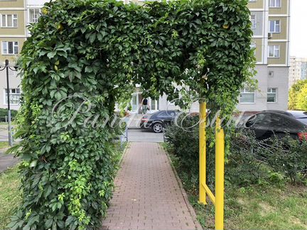 1-к апартаменты, 42 м², 12/25 эт.