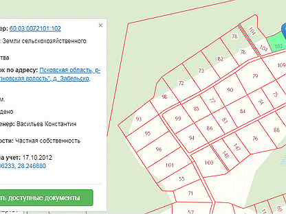 Кадастровая карта гдовский район