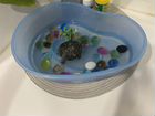 Черепаха с аквариумом объявление продам