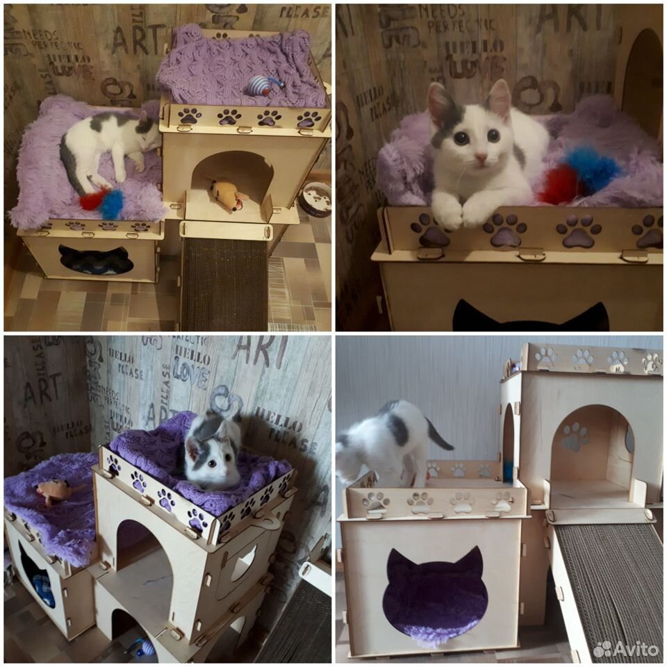 House for cats  89086645984 buy 1