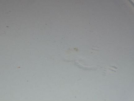 Блюдо круглое ие Кузнецов в Волхове 1913-1918г