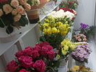 Аренда цветочного магазина