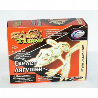 Сборная модель Скелет Лягушки