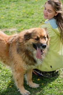 Супер-собака Буран в дар