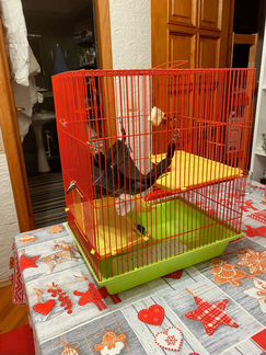 Клетка Б/У для грызунов