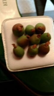 Босоножки Италия оригинал Ринальдо Ринальдини