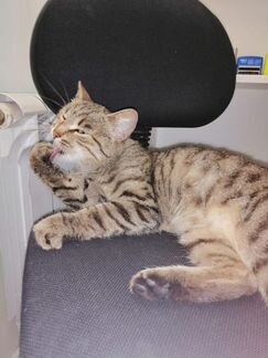 Симочке нужен дом